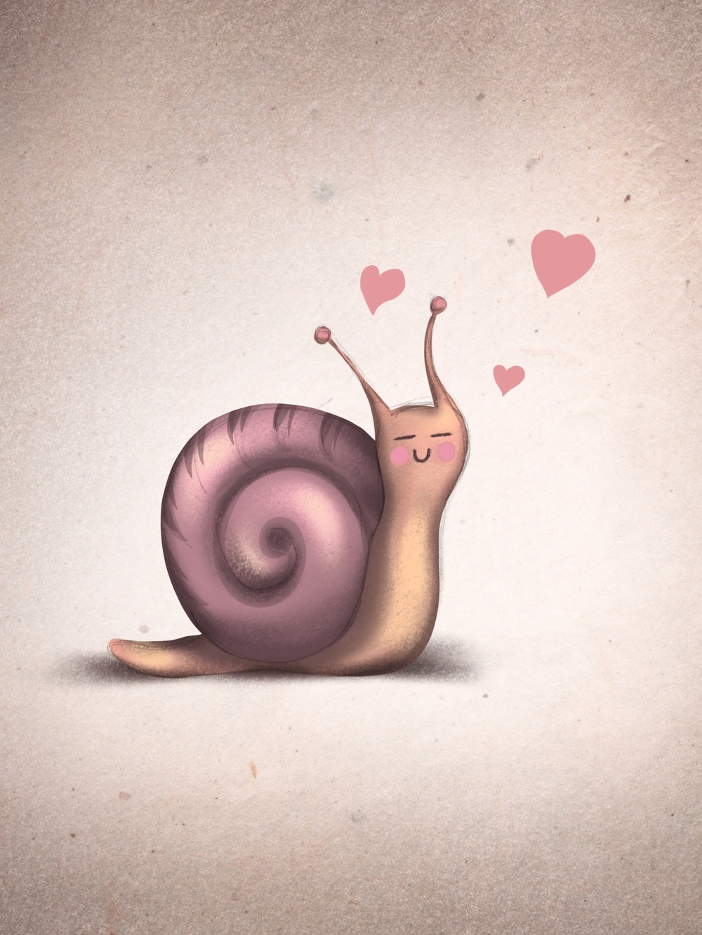 Custom Spiral Shell Snail Fridge Magnet Home Kitchen Decor